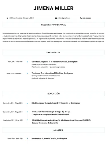 Contemporáneo Resume Template